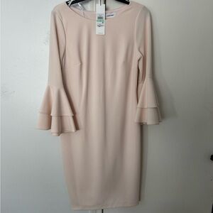 Calvin Klein Women's Soft Pink Ruffle Sleeve Dress